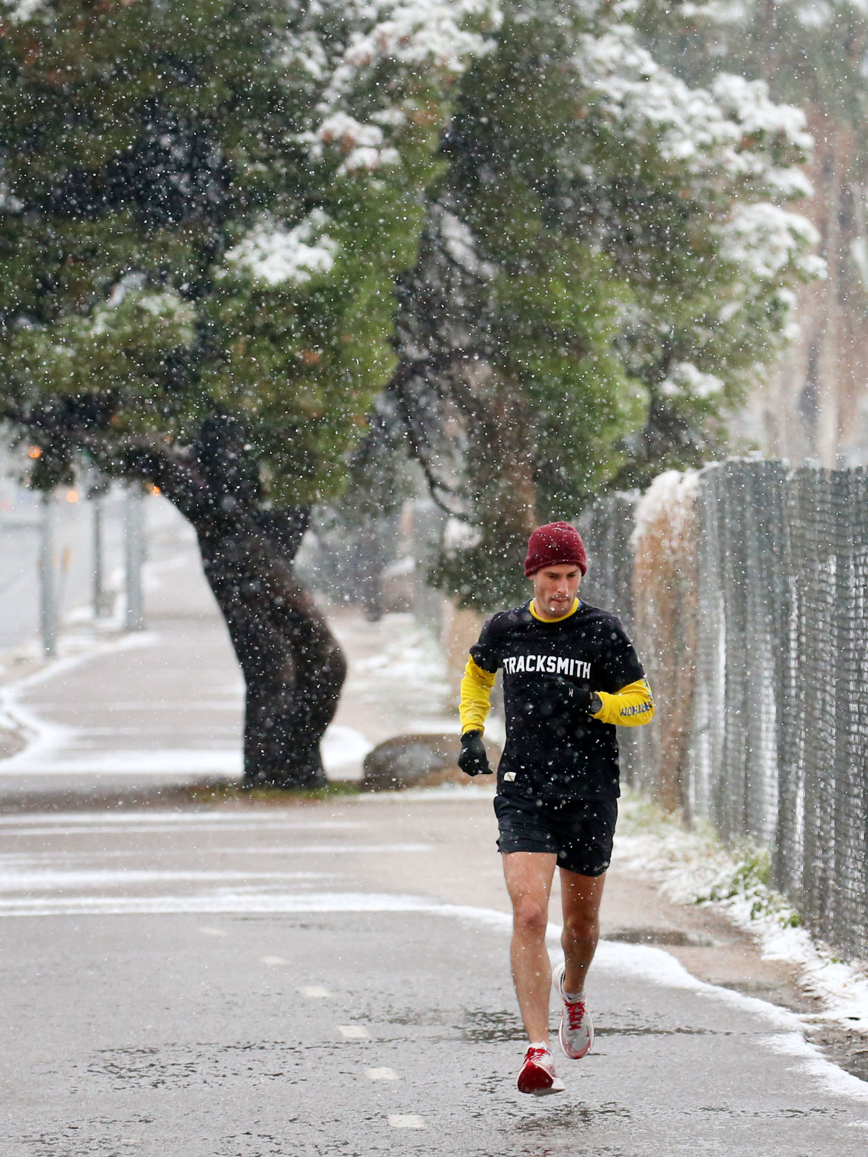 Snow in Tucson